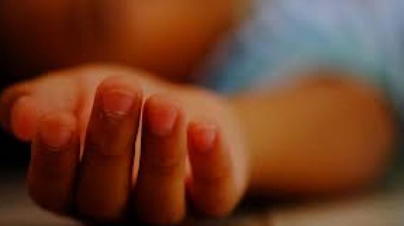 Fear of stray dogs, 5-year-old innocent girl Fear of stray dogs, 5-year-old innocent girl