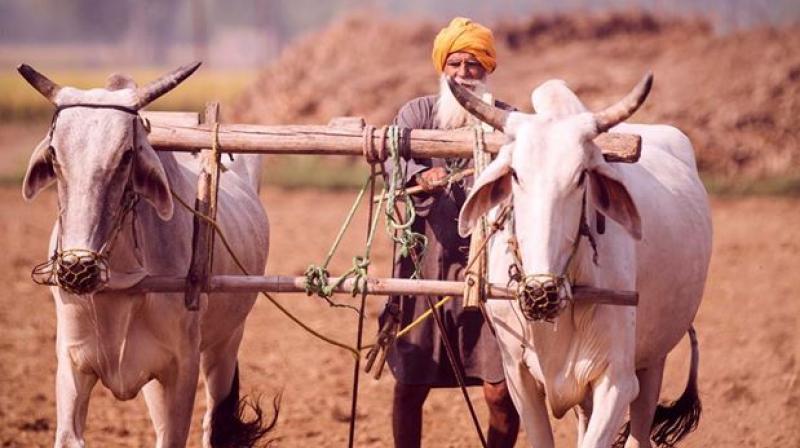 Punjab