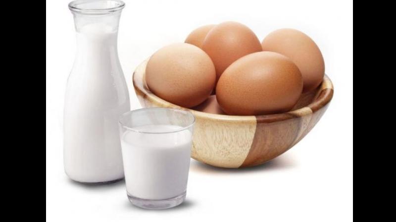egg egg