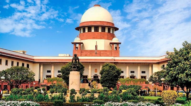 Sudden braking on highway will be considered negligence: Supreme Court Sudden braking on highway will be considered negligence: Supreme Court