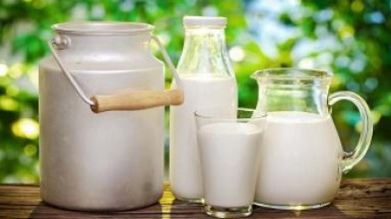 Milk crisis in Punjab, but how are so many sweets made? Milk crisis in Punjab, but how are so many sweets made?