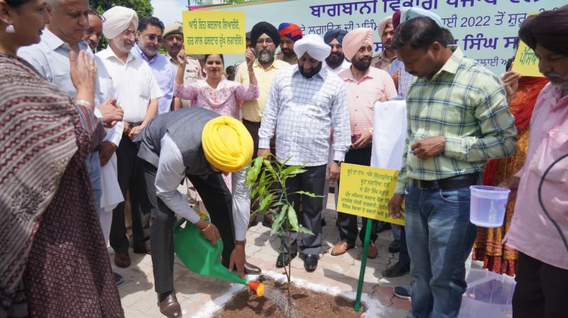 The campaign to plant fruit trees in the entire state started The campaign to plant fruit trees in the entire state started
