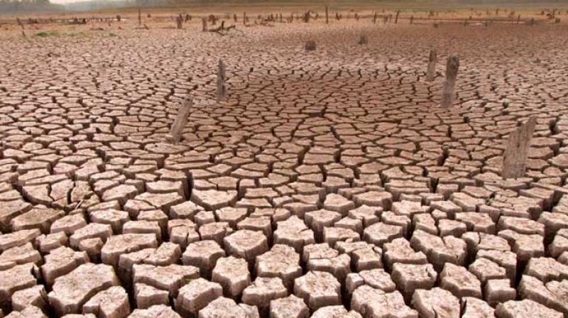 IEP report suggests 2.8 billion people would have to live in dangerous places by 2050 IEP report suggests 2.8 billion people would have to live in dangerous places by 2050