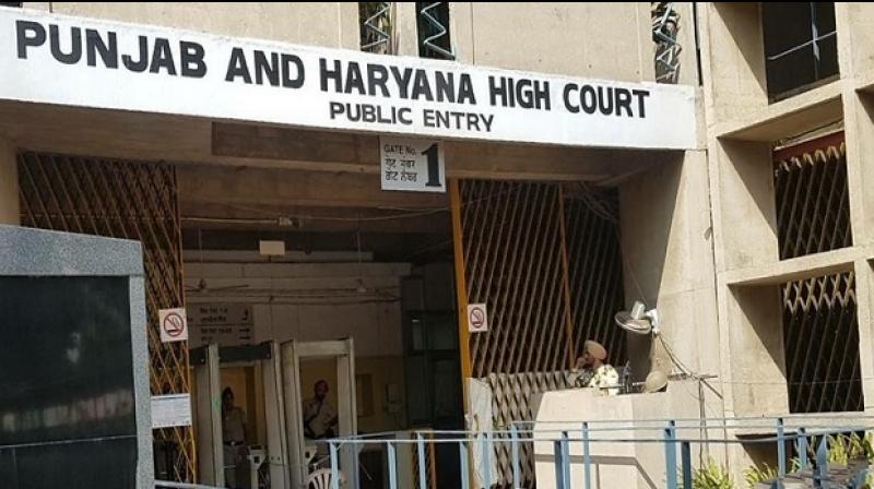 Punjab and Haryana High Court Punjab and Haryana High Court