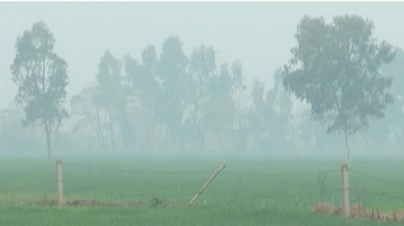 Punjab Weather Update News in punjabi 