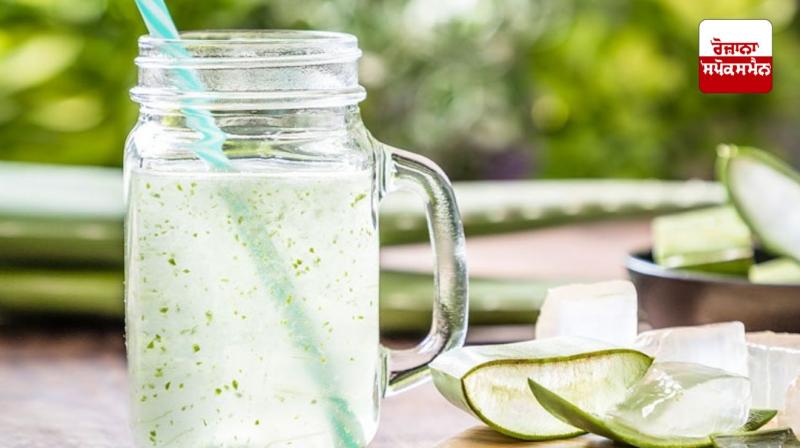 Aloe vera is a boon for the body, it cures many stomach related diseases. Aloe vera is a boon for the body, it cures many stomach related diseases.