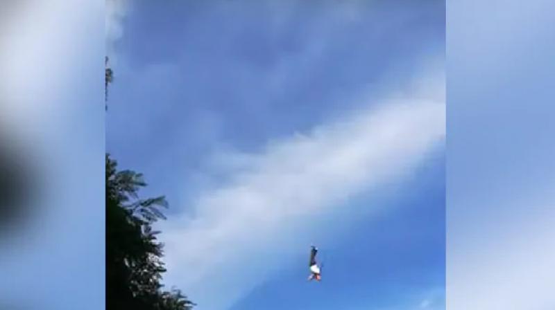 Bungee jumping horrifying accident viral video