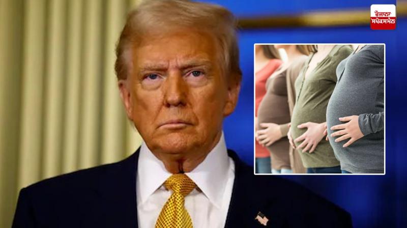 Donald Trump Donald Trump