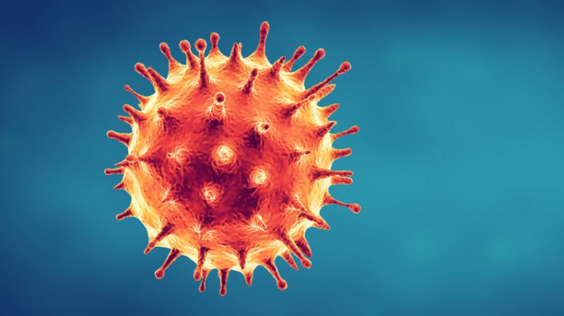 Corona Virus Corona Virus