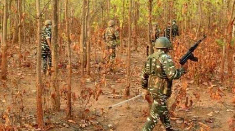 29 Naxalites killed in encounter with security personnel in Chhattisgarh 29 Naxalites killed in encounter with security personnel in Chhattisgarh