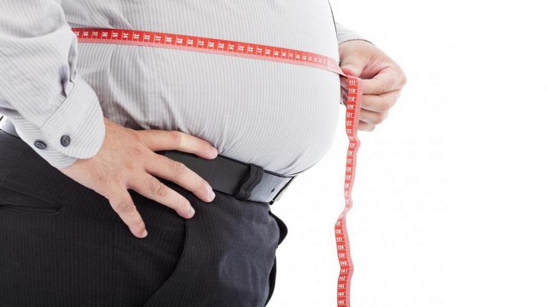 Lose Fat Lose Fat