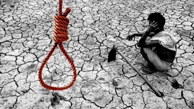 Farmer Suicide Farmer Suicide