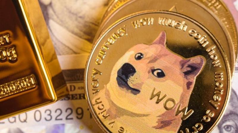 Shiba Inu Coin