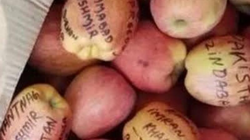 Freedom slogans written on apples from Kashmir