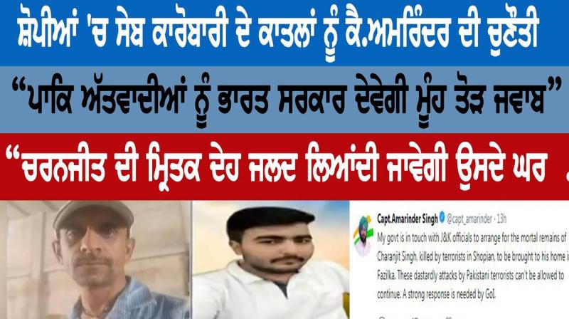 Capt Amarinder challenges apple business killers in hunts Capt Amarinder challenges apple business killers in hunts