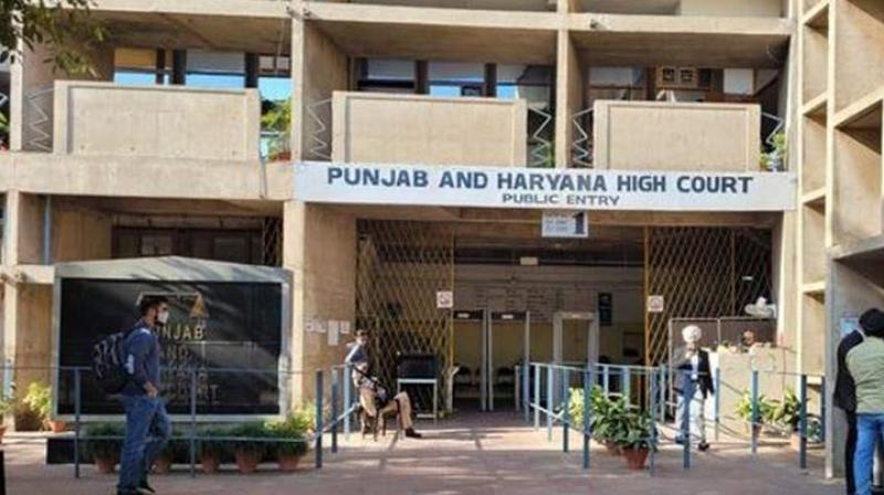 Punjab And Haryana High Court Punjab And Haryana High Court