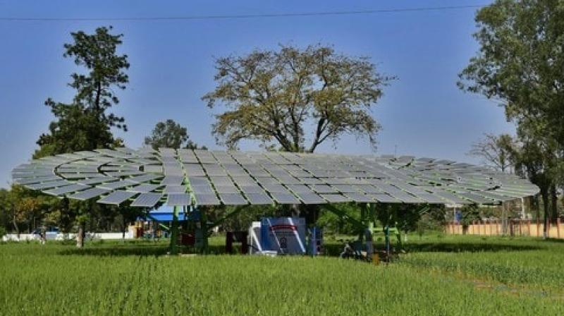 The world's largest solar tree built in Ludhiana The world's largest solar tree built in Ludhiana
