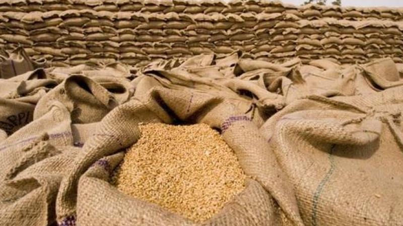 wheat scam in Patiala wheat scam in Patiala