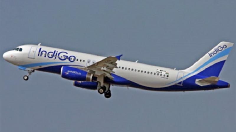 IndiGo IndiGo