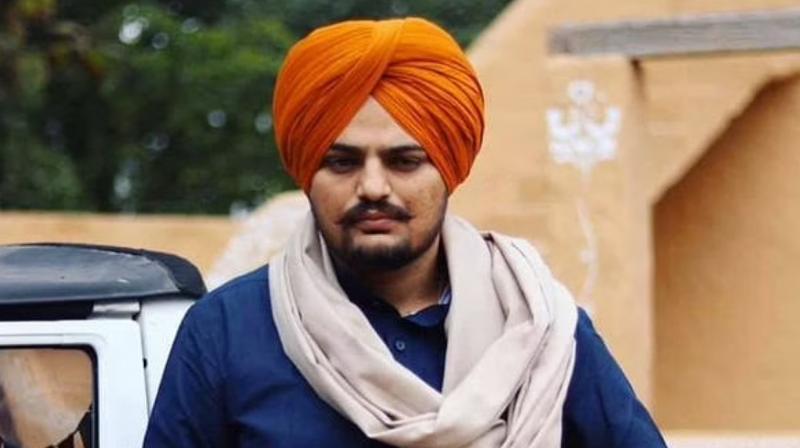 Sidhu Moose Wala Case Sidhu Moose Wala Case