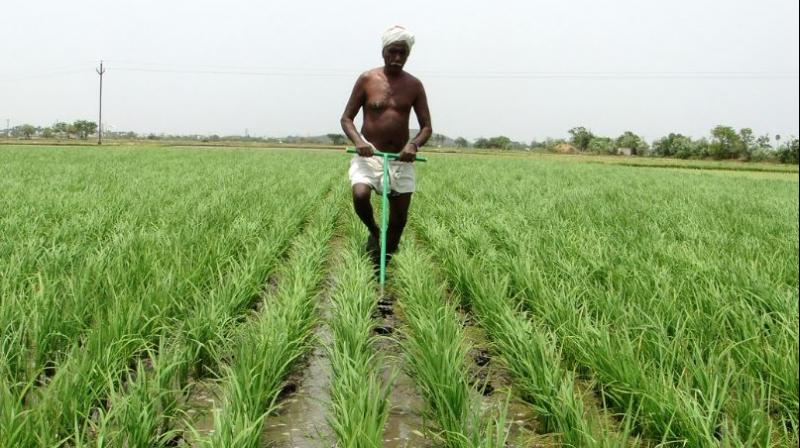 Farmers Farmers
