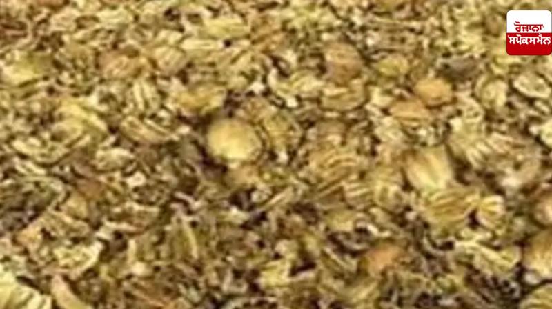 Poppy seeds found in flour sacks in Jagraon, driver flees after abandoning truck Poppy seeds found in flour sacks in Jagraon, driver flees after abandoning truck
