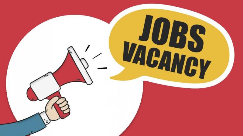 Job vacancies Job vacancies