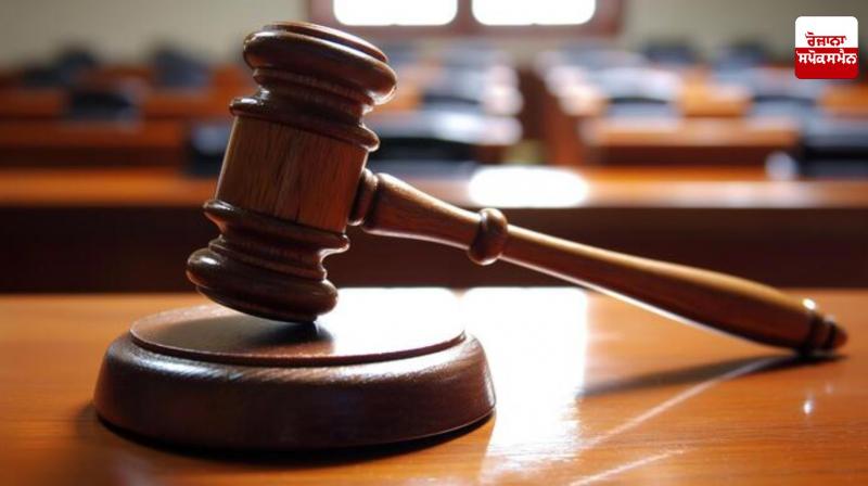 Nihang Man Singh, 6 others sentenced to life imprisonment in sedition case Nihang Man Singh, 6 others sentenced to life imprisonment in sedition case