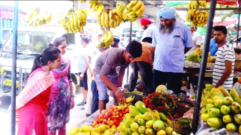 Team Checking On Fruit Shops Team Checking On Fruit Shops