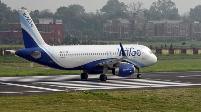 IndiGo IndiGo