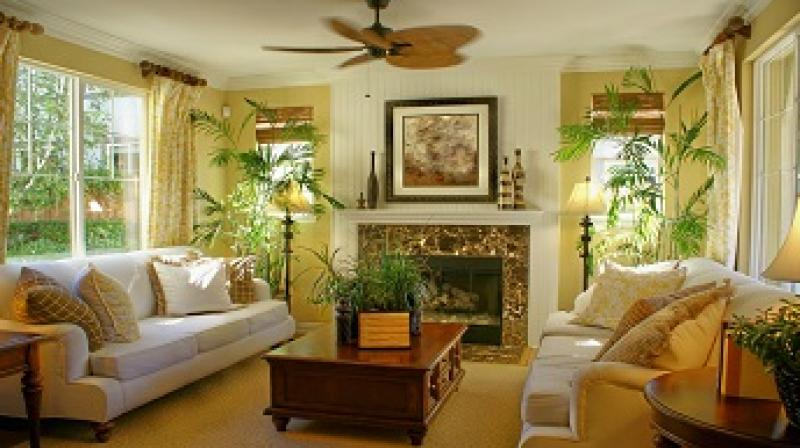 Decorate interior Decorate interior