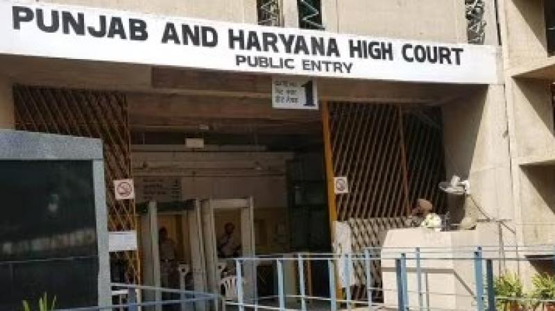 Punjab and Haryana High Court Punjab and Haryana High Court