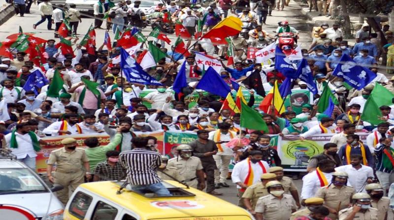 Farmers Protest