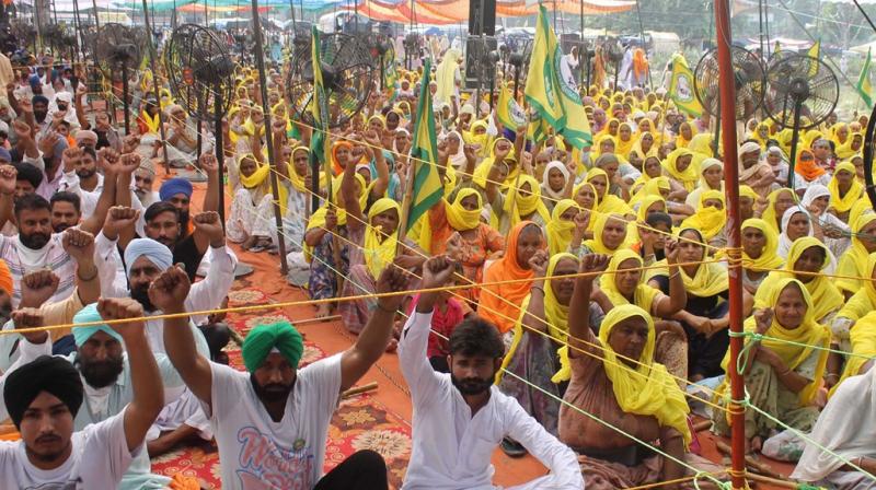 Farmers Protest Farmers Protest