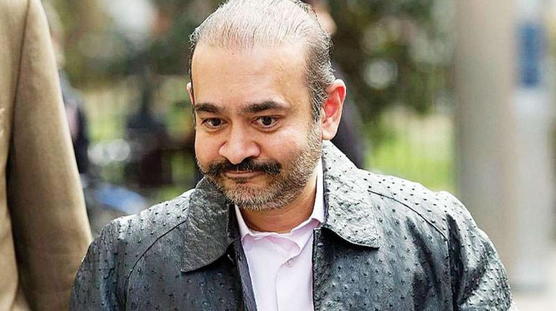  Nirav Modi