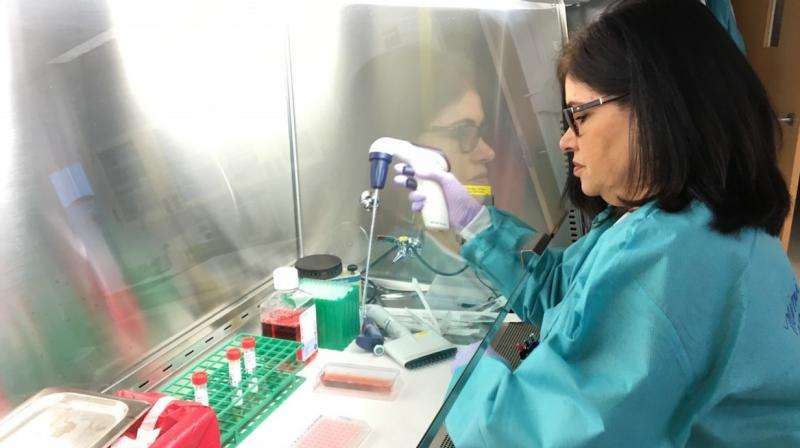 There are 114 labs for coronavirus testing all over the country There are 114 labs for coronavirus testing all over the country