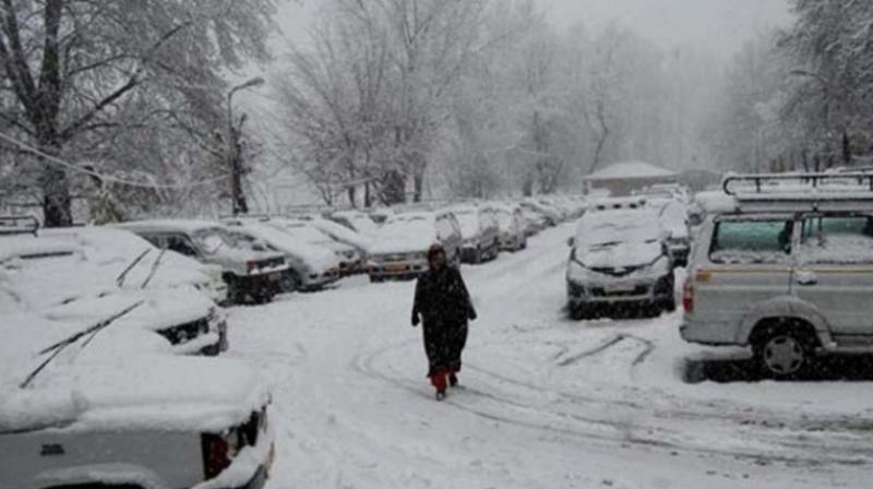 Kashmir Snow Kashmir Snow