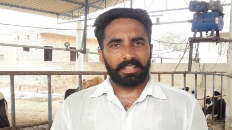 Fazilka youth earning in lakhs from organic dairy and farming Fazilka youth earning in lakhs from organic dairy and farming