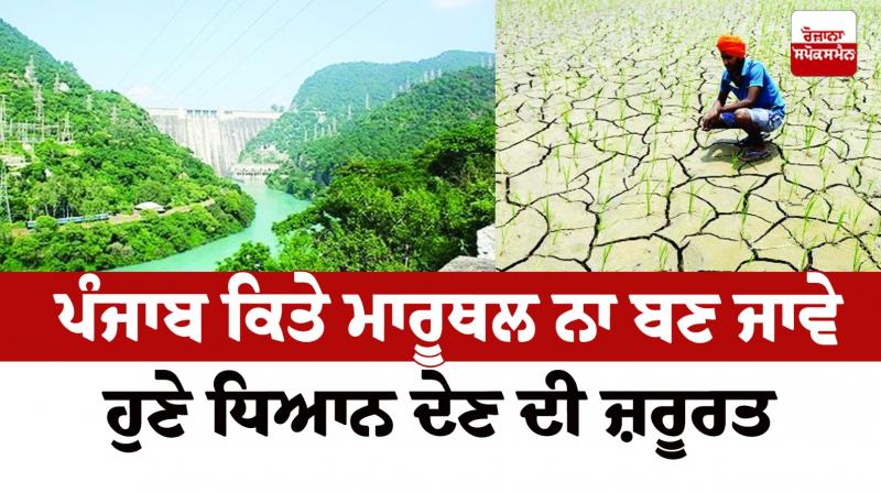 Punjab should not become a desert, need to pay attention now Punjab should not become a desert, need to pay attention now