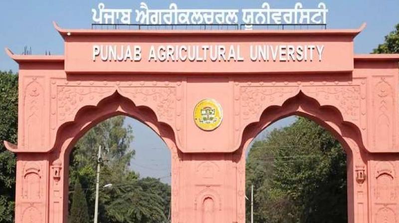 Aguricultural univarsisty Aguricultural univarsisty