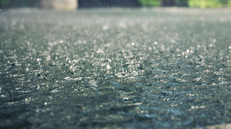 Rain Rain