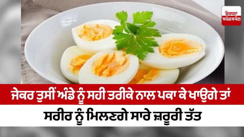 Egg Egg