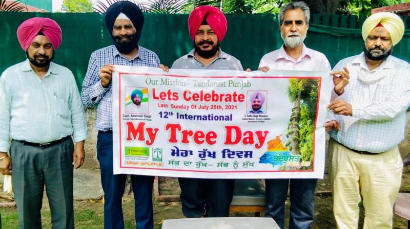 Need to plant as many trees as possible to create a healthy environment Need to plant as many trees as possible to create a healthy environment