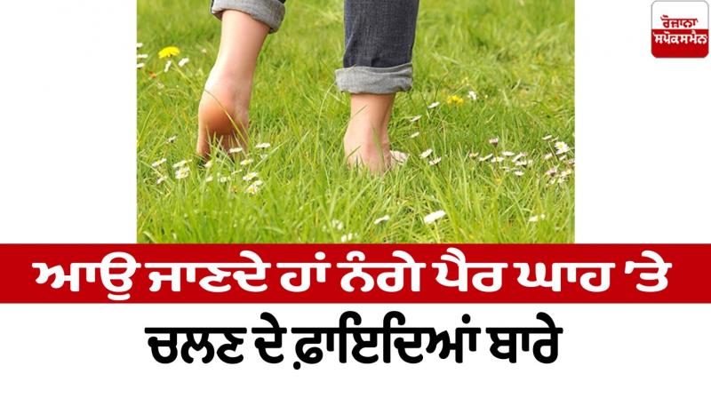 Benefits of walking barefoot on grass Health News
