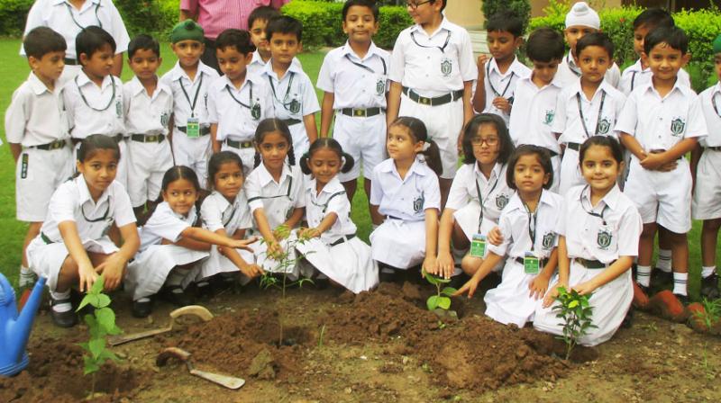 Students Planting Plants
