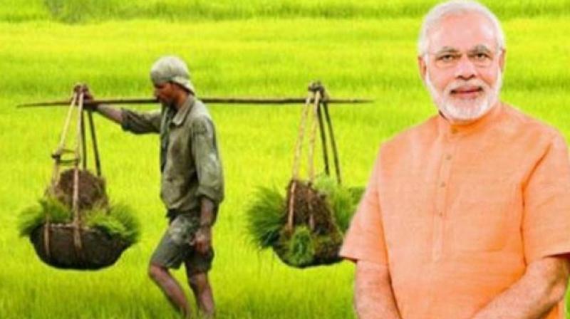 Pradhan Mantri Fasal Bima Yojana