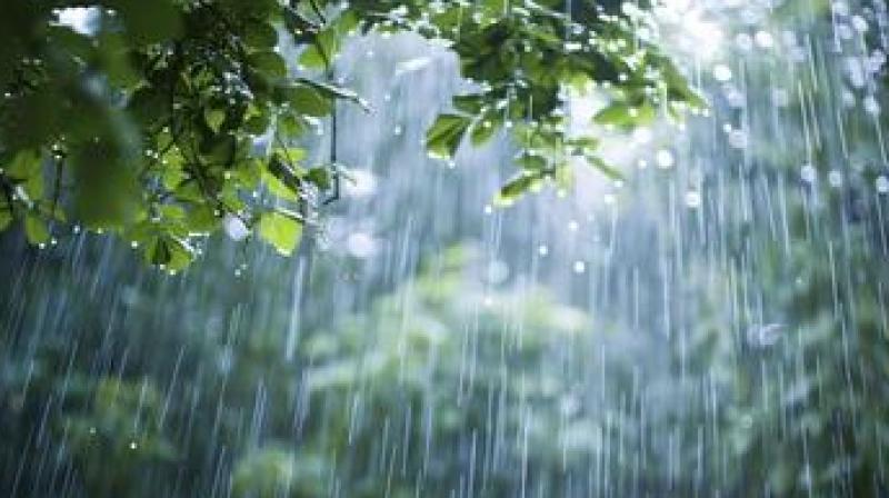 Punjab, the possibility of rain in these districts! Yellow alert in Chandigarh, know... Punjab, the possibility of rain in these districts! Yellow alert in Chandigarh, know...