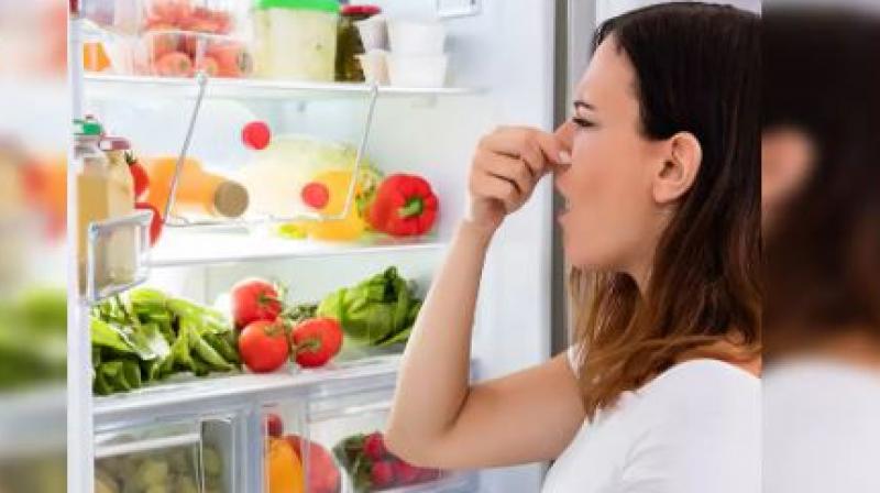 Fridge Smell Fridge Smell