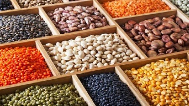 Pulses Pulses