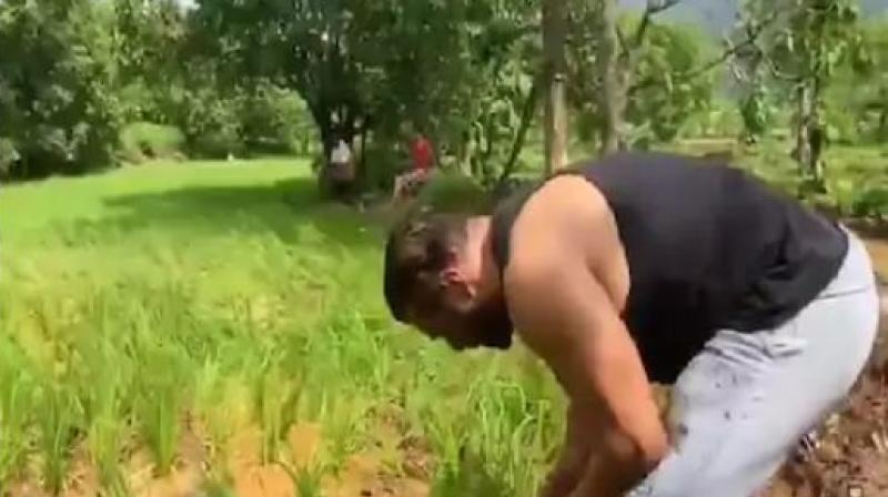 Salman Khan Salman Khan
